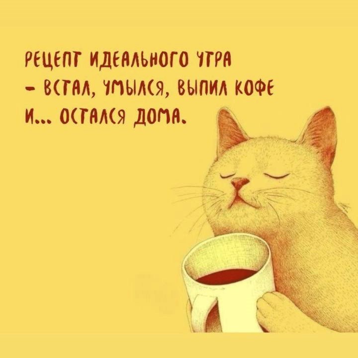 Котик с кофейком