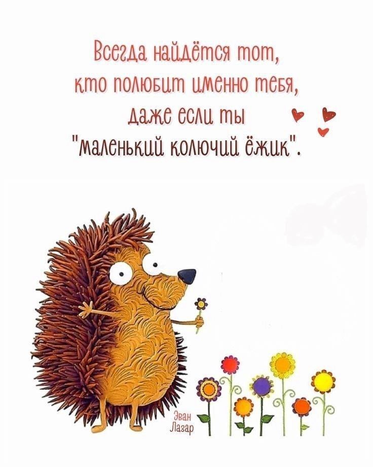 Милый ёжик