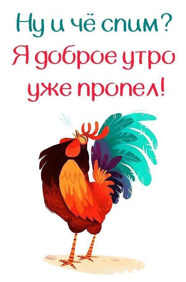 Яркий петух