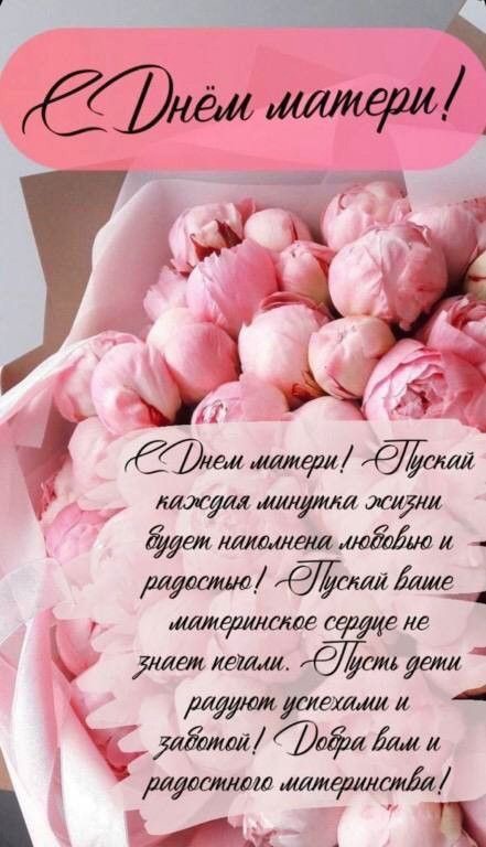 Нежные розовые цветы