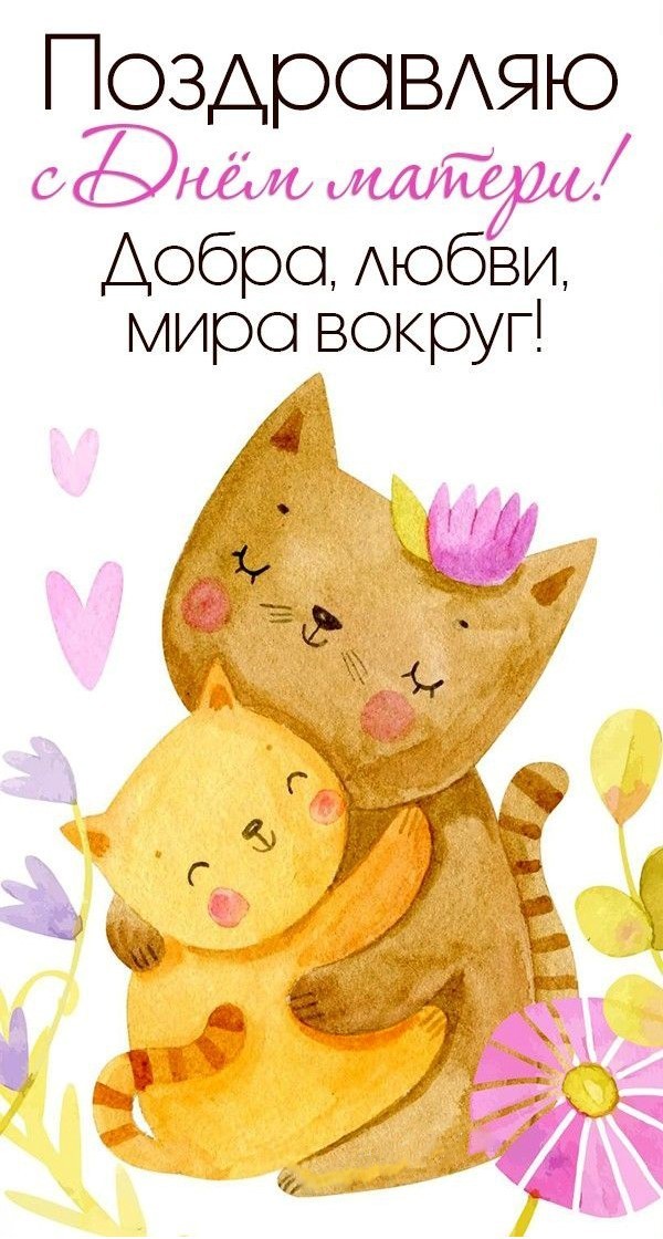 Кошечка обнимает милого котенка