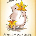 Кот с опавшими листочками