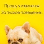 Грустная собачка