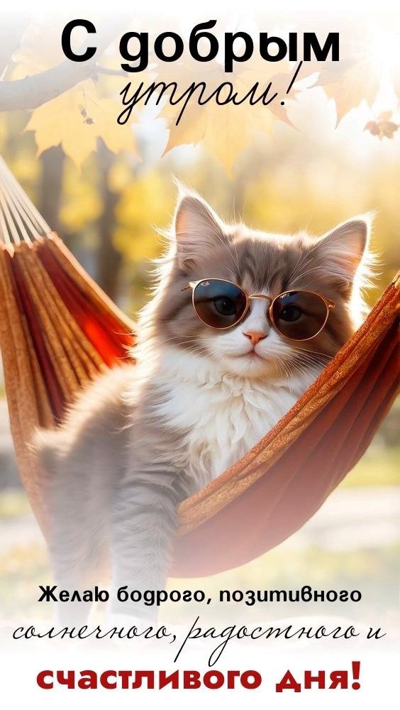 Открытка с котиком в гамаке Доброе утро Котик в очках загорает в гамаке