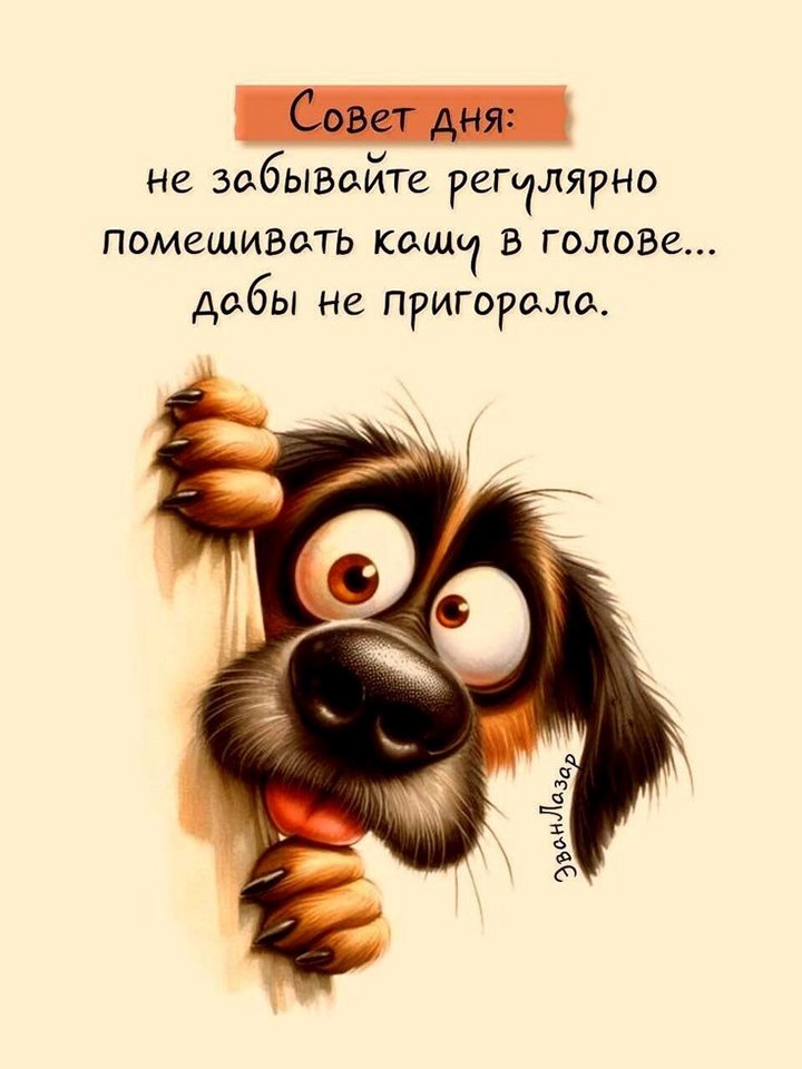 Собака выглядывает из-за угла