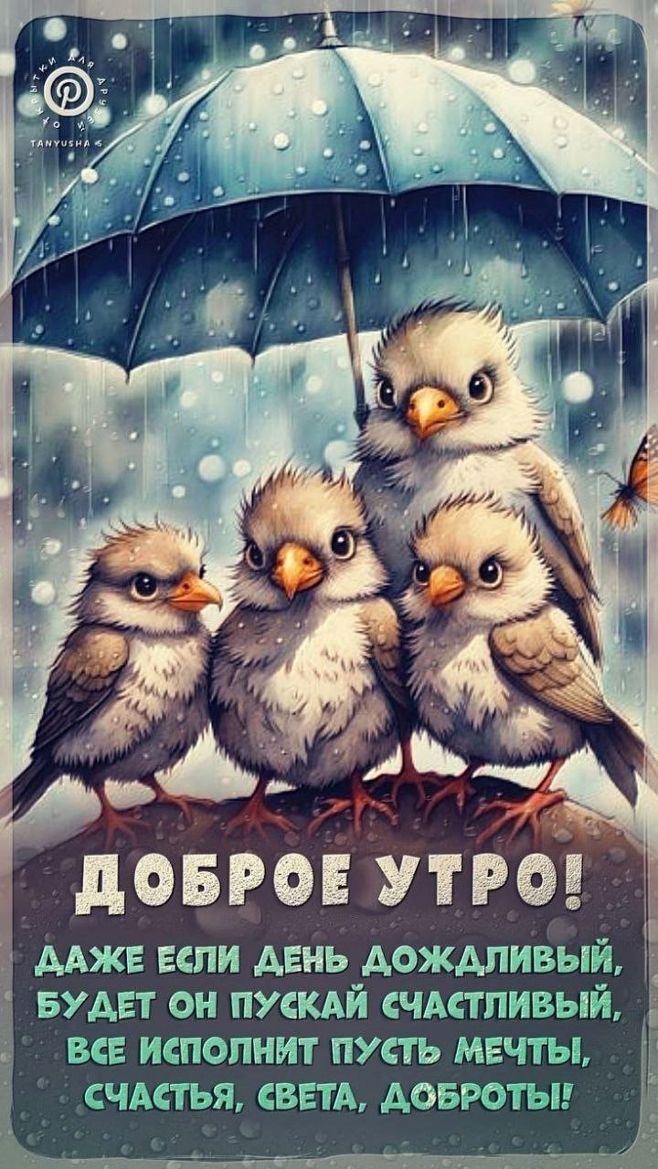 Четыре птицы под зонтиком