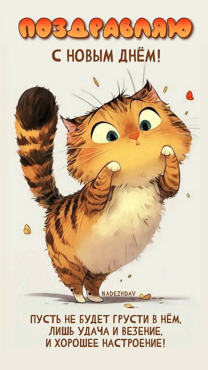 Открытка с котиком и сердечками Милый котик с сердечками