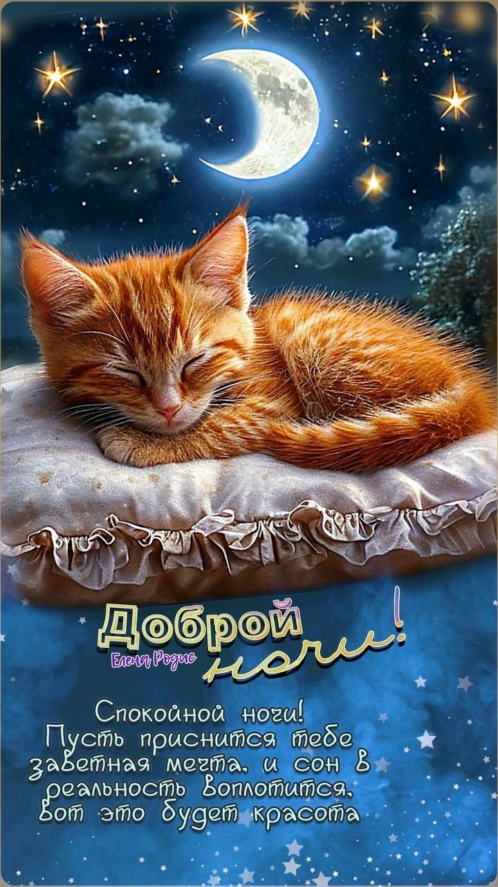 Рыжий котенок спит на подушке