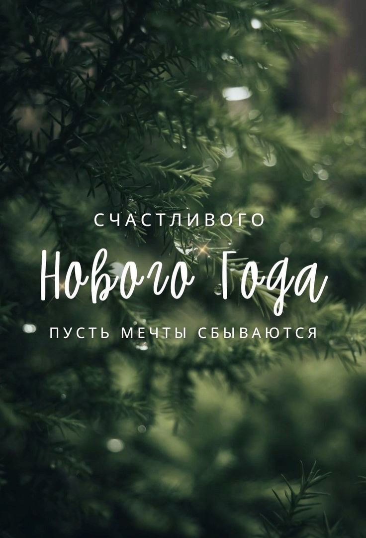 Красивая новогодняя открытка с елкой Красивая картинка с елкой