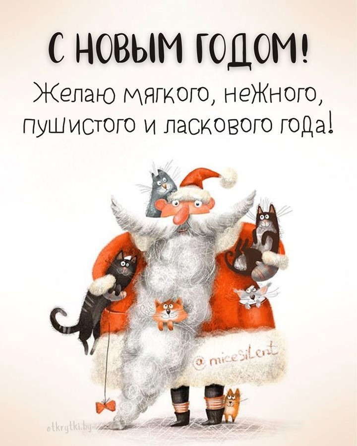 Дед Мороз с котами
