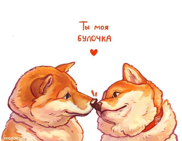 Собачки