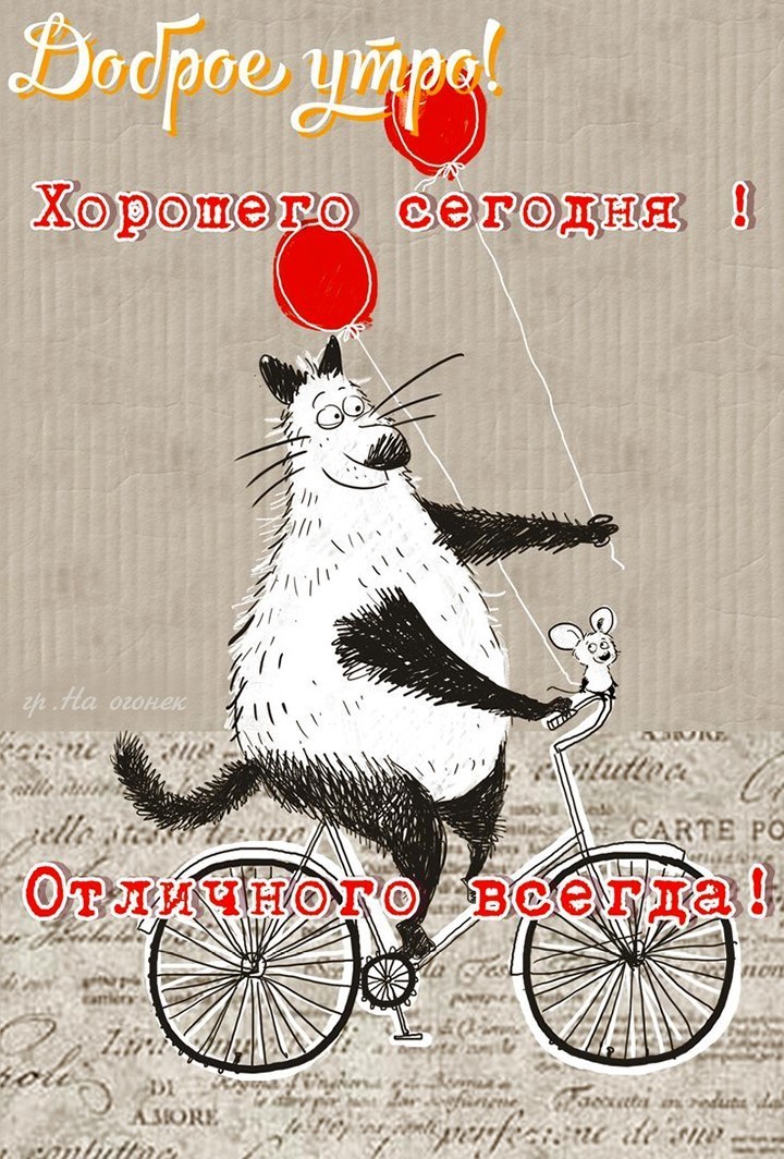 Кот с красным шариком на велосипеде