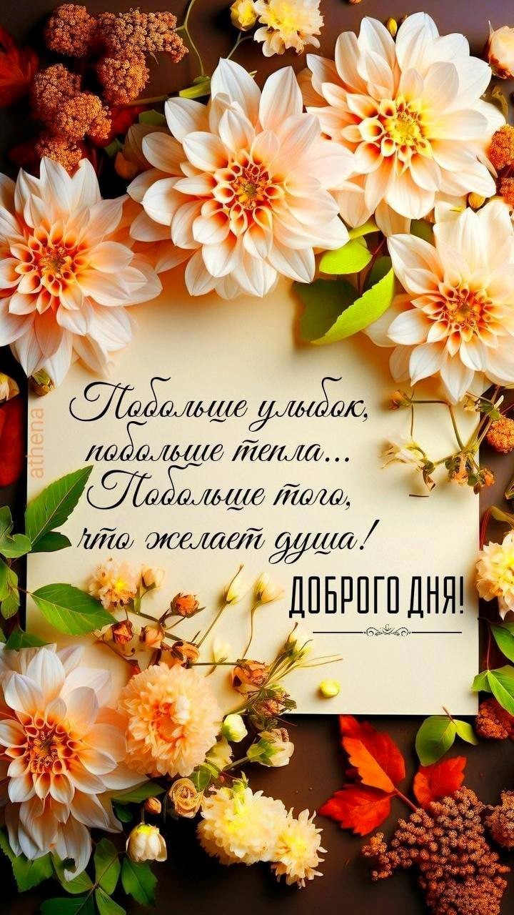 Открытка доброго дня с нежными цветами Цветы на открытке