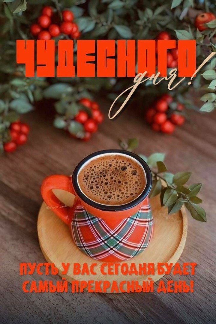 Открытка хорошего дня с кофе Чашка кофе на блюдце, рябина