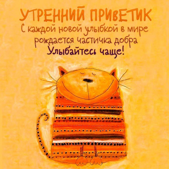 Довольный кот