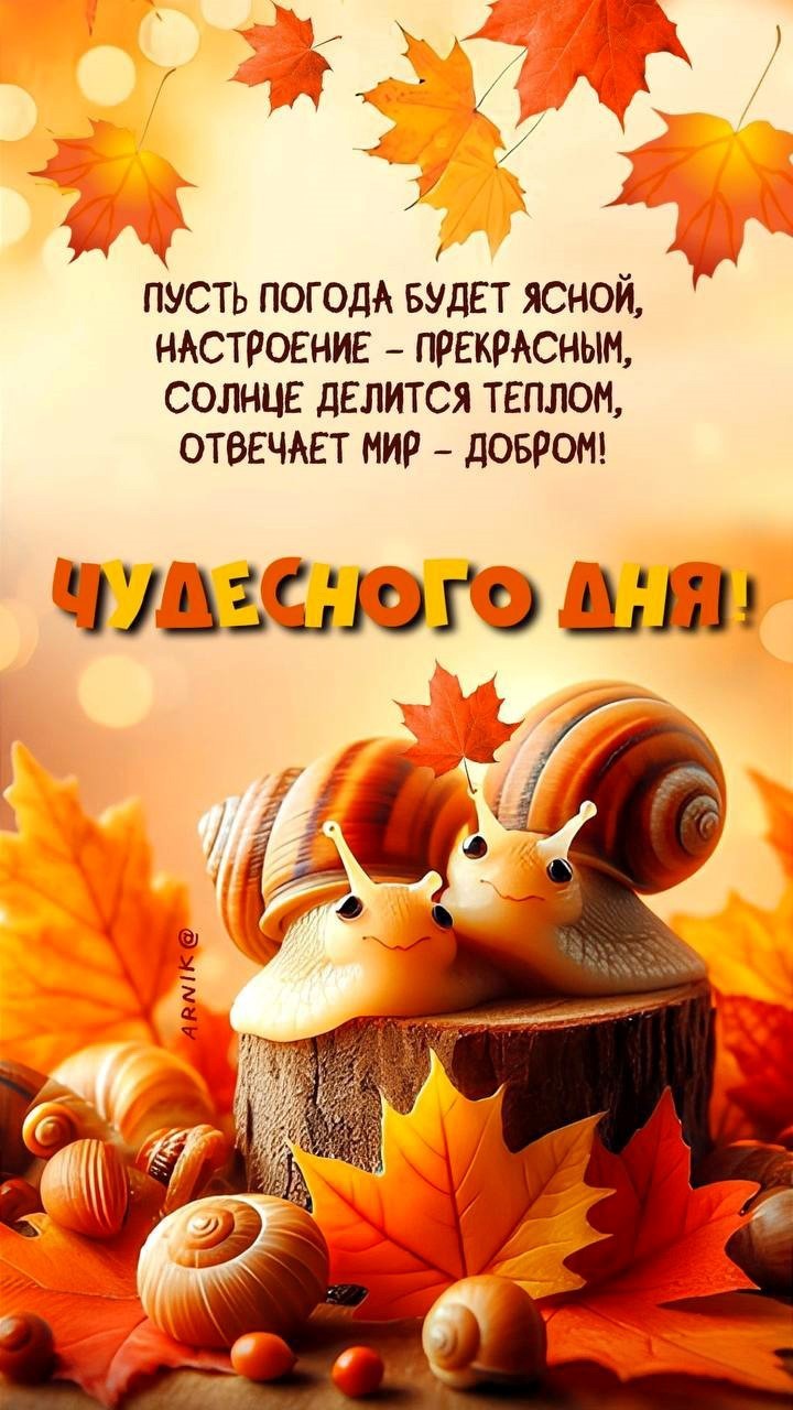 Открытка Чудесного дня с улитками в осеннем лесу Улитки на пеньке в осеннем лесу