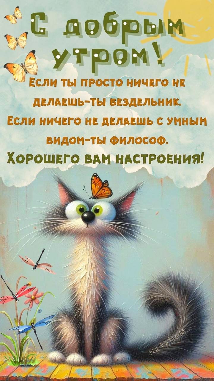 Открытка Доброе утро с котом и бабочкой Кот на травке