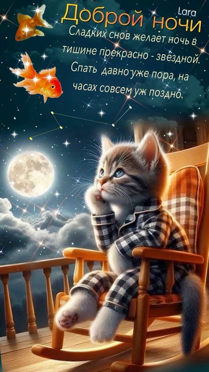 Котенок в кресле на фоне луны