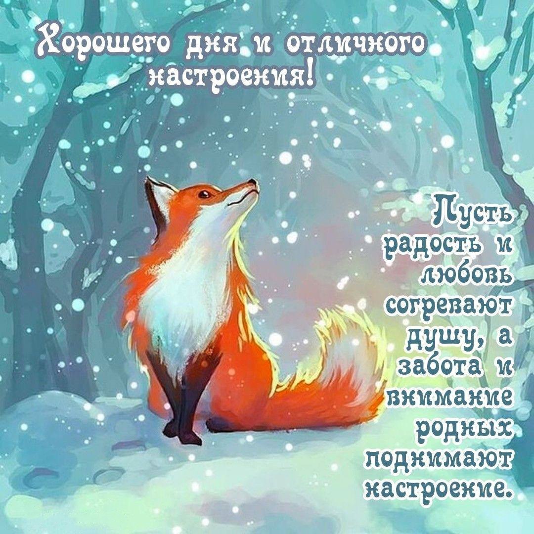 Красивая лисица в зимнем лесу