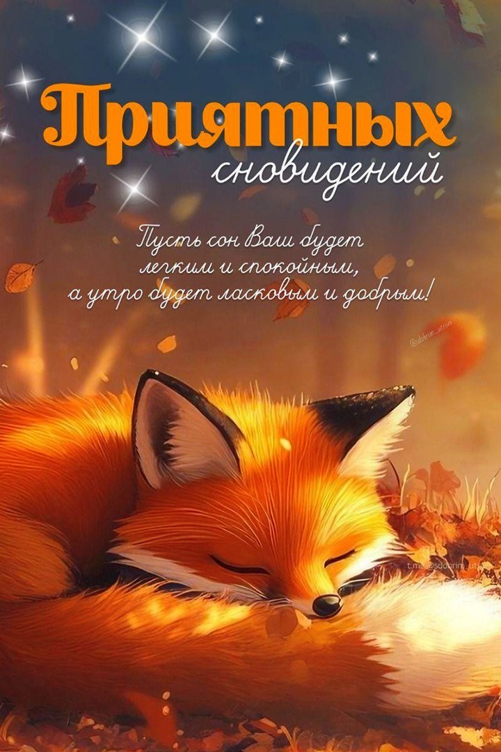 Спящий лисенок