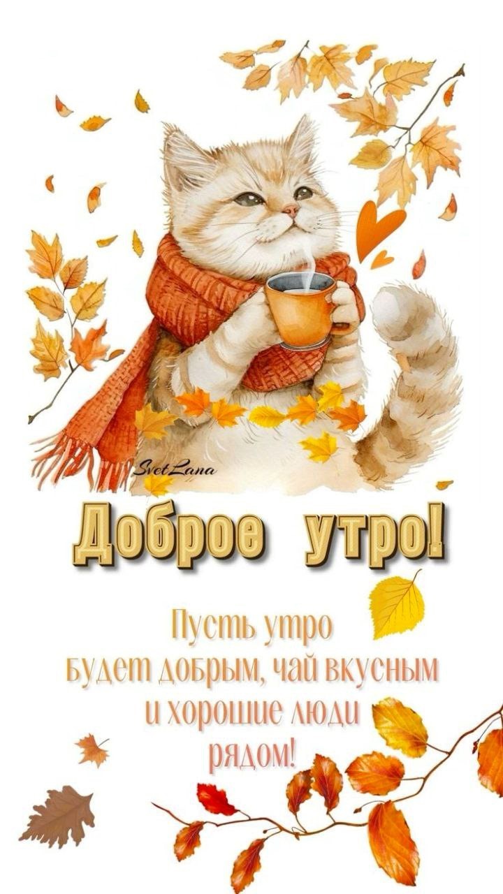 Открытка доброе утро с котом и листьями Кот в шарфе с кружкой и падающие желтые листья