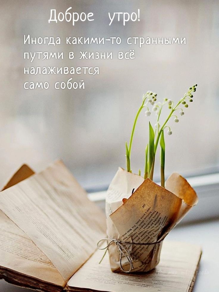 Открытка доброе утро с пожеланием Старая книга и цветок