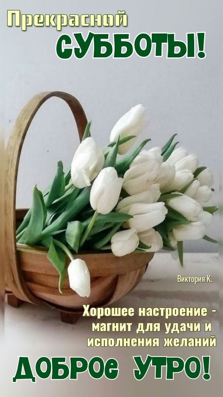 Красивые тюльпаны в корзине