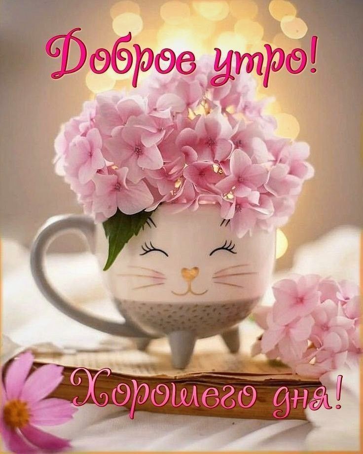 Цветочки в кружке с котиком