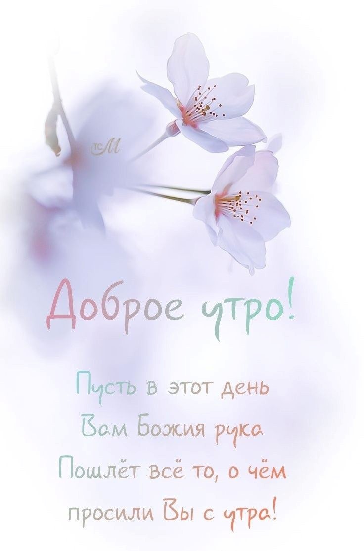 Открытка доброе утро с нежными цветочками Весенние веточки