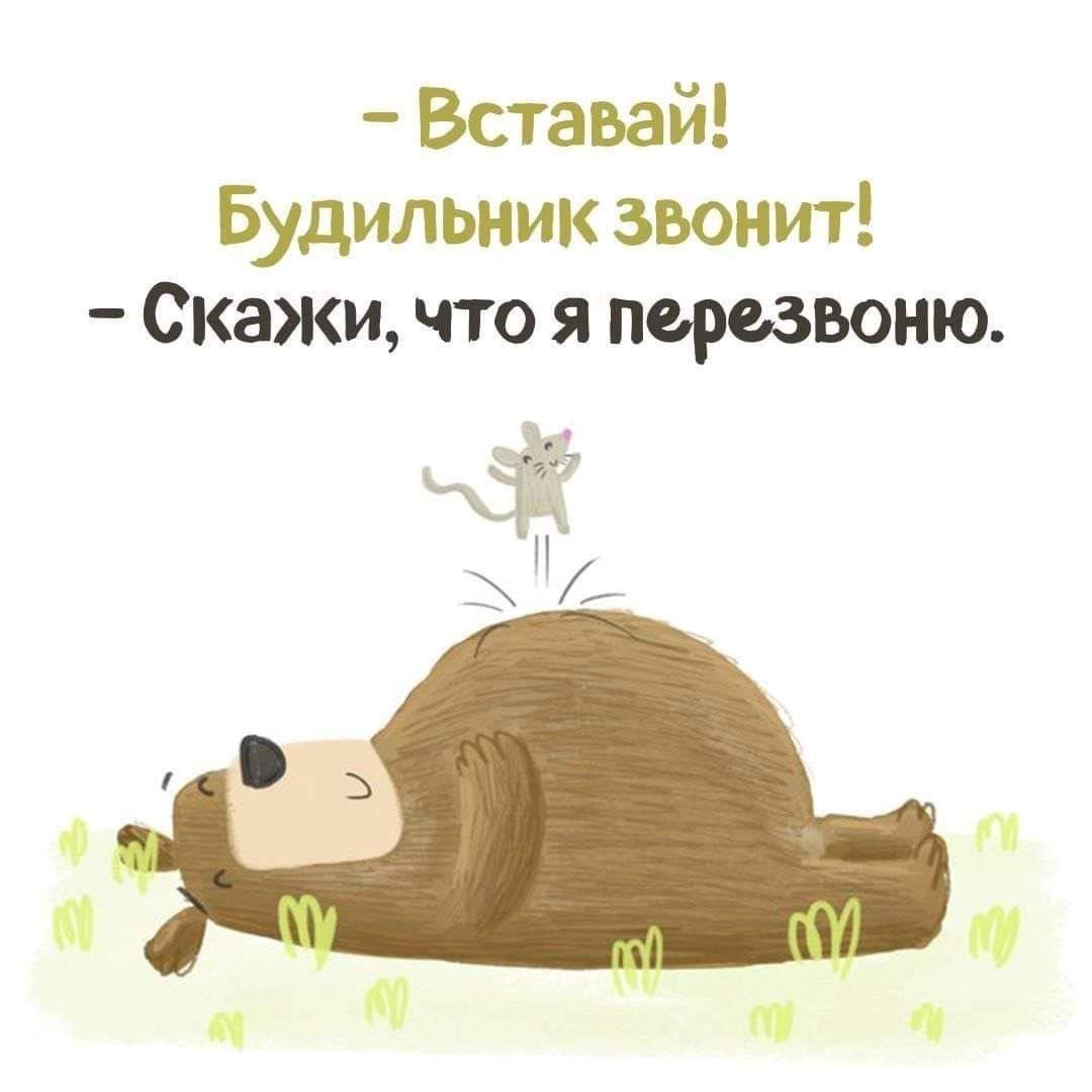 Медведь лежит с цветочком