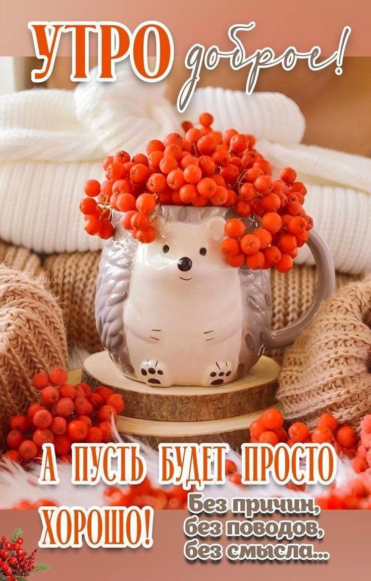 Открытка доброе утро c hz,byjq Рябина в интерьере