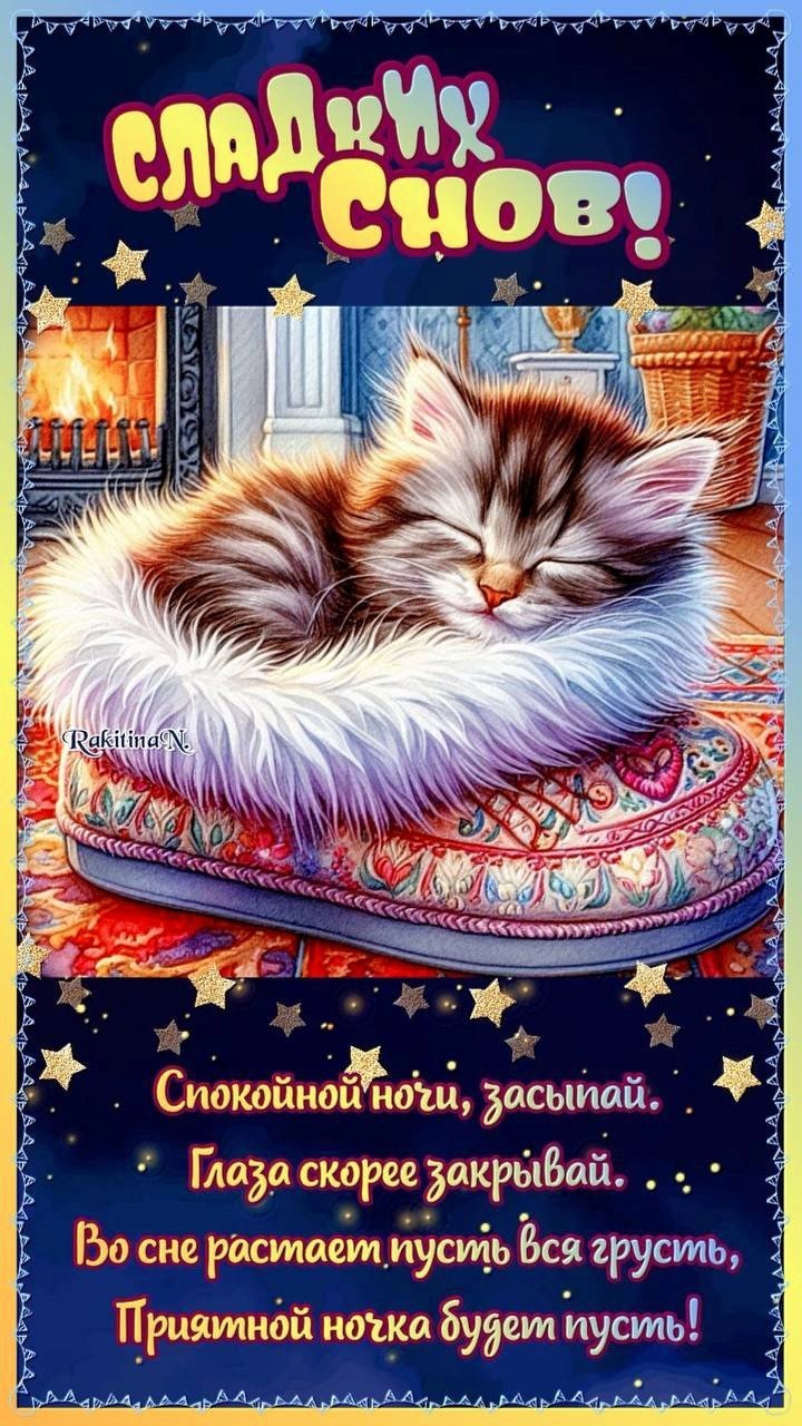 Милый котенок в тапке