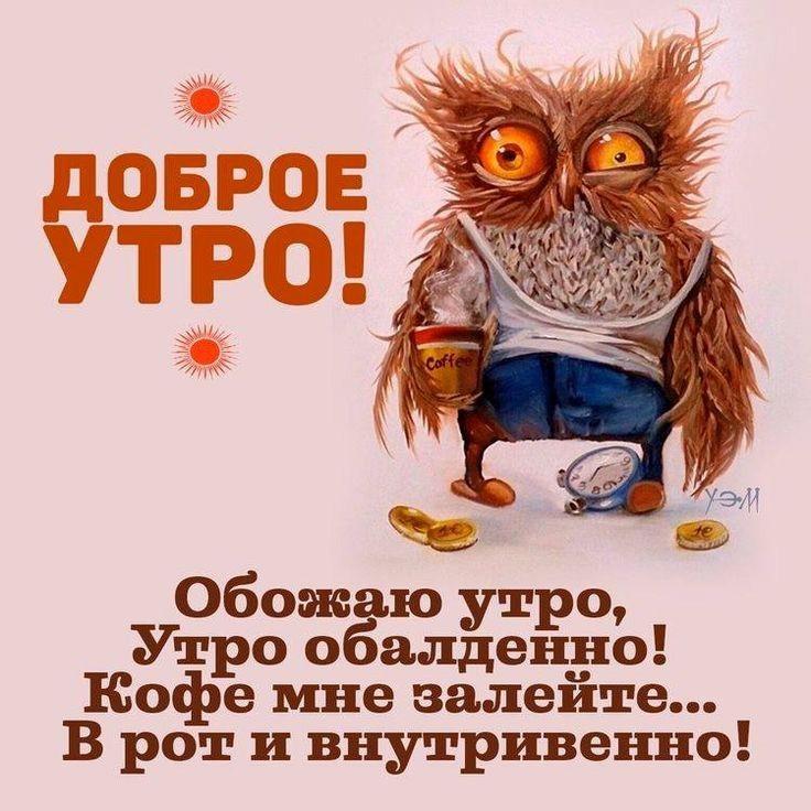 Невыспавшаяся сова