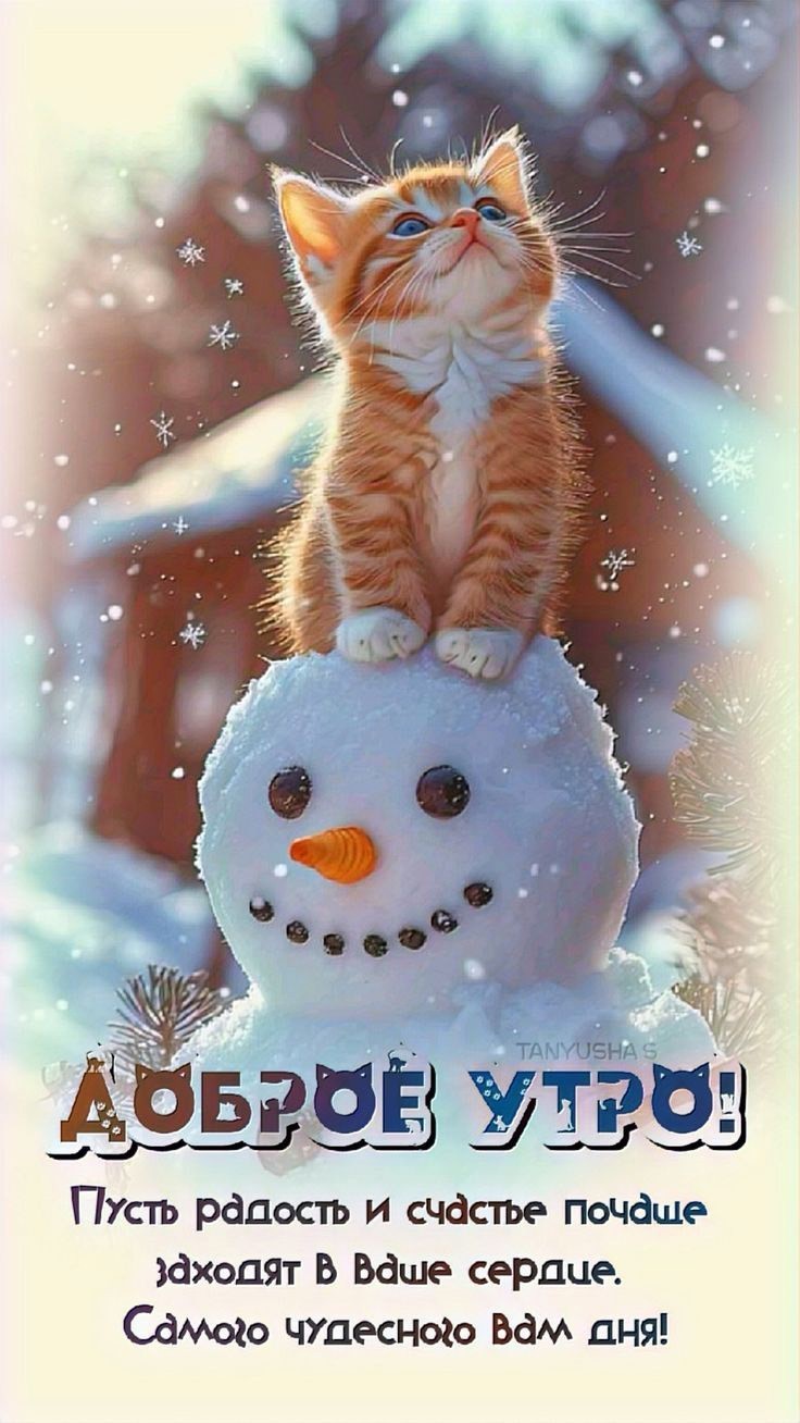 Котенок и снеговик
