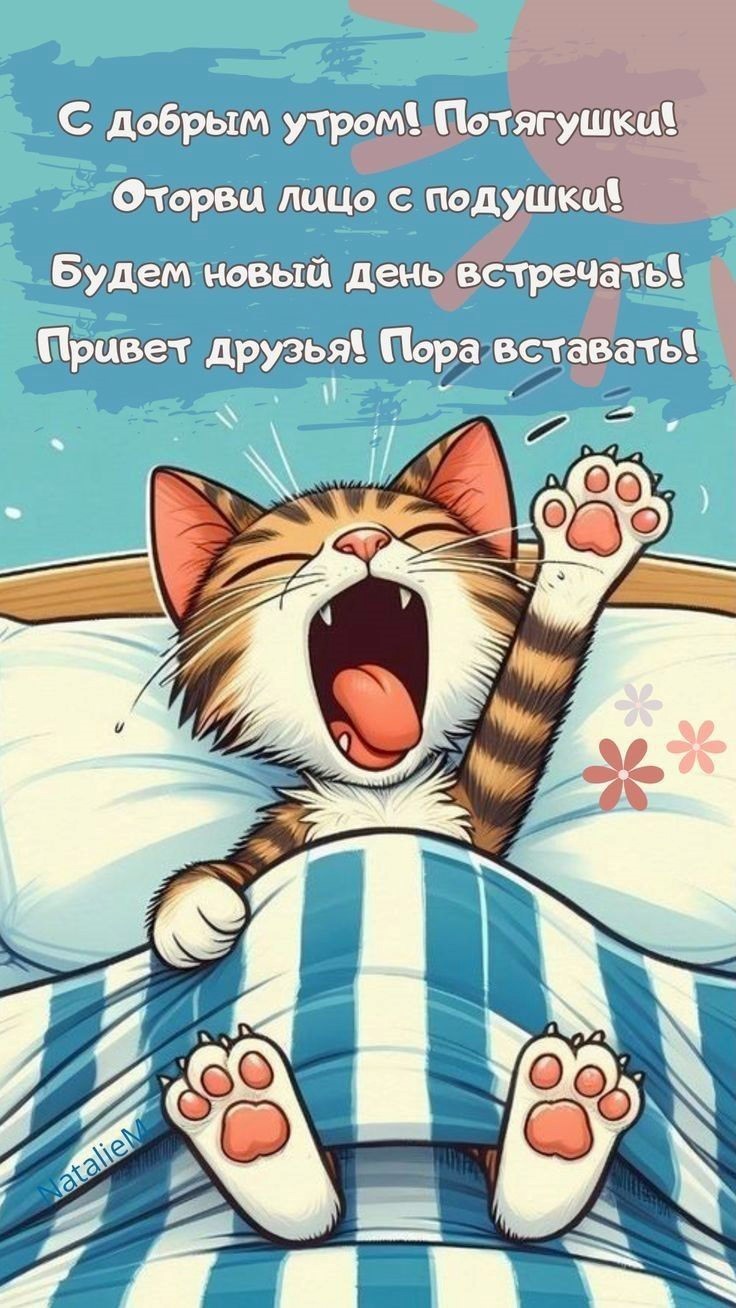Полосатый кот зевает