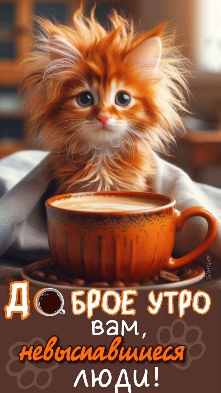 Милый котенок с кружкой