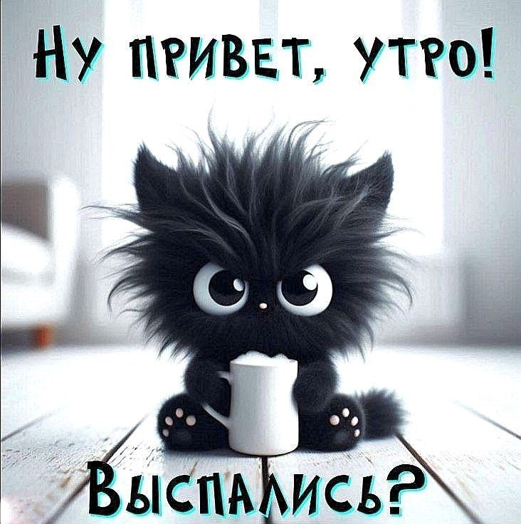 Открытка привет утро с черным котиком Черный котик-чертенок