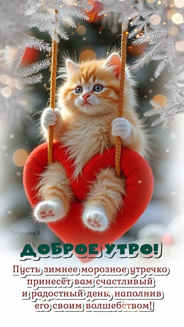 Открытка доброе утро с котенком Котенок на качелях в зимней атмосфере