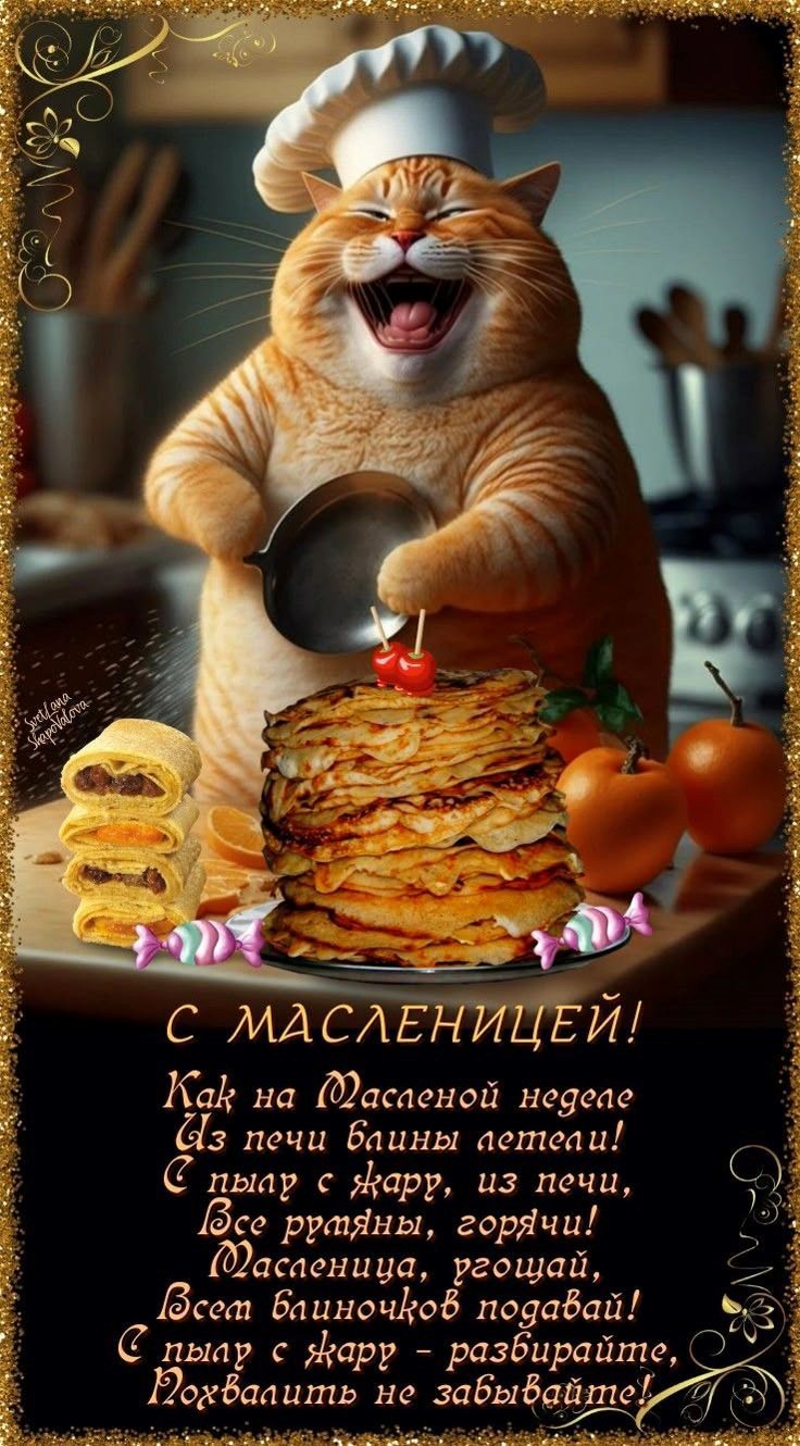 Открытка на Масленицу с котом Прикольный кот печет блины