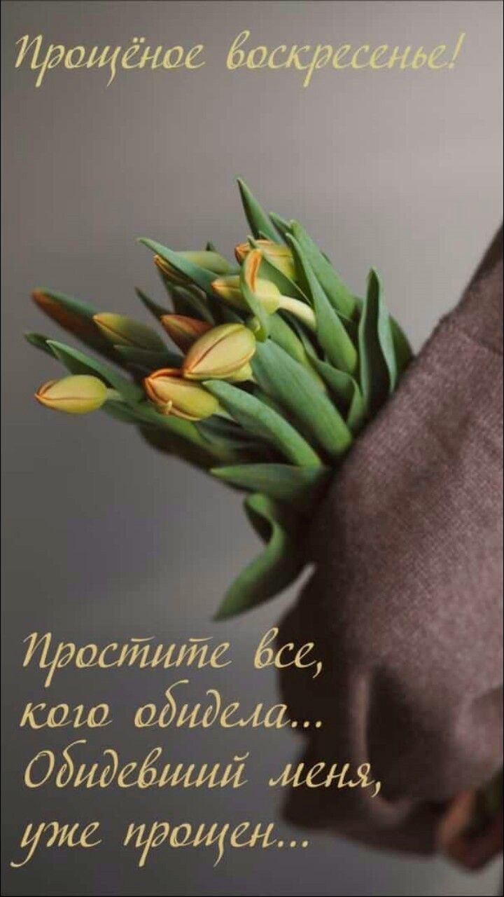 Желтые тюльпаны у женщины в руках