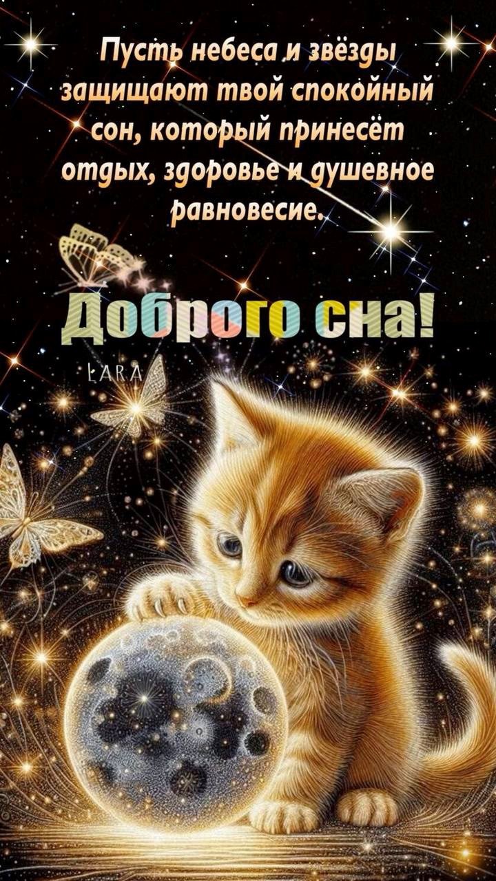 Котенок играет с луной