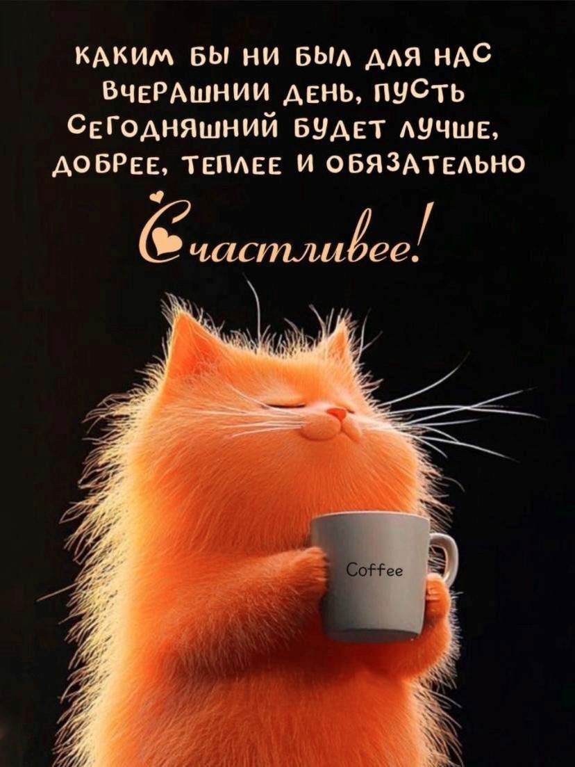 Оранжевый кот с чашкой кофе