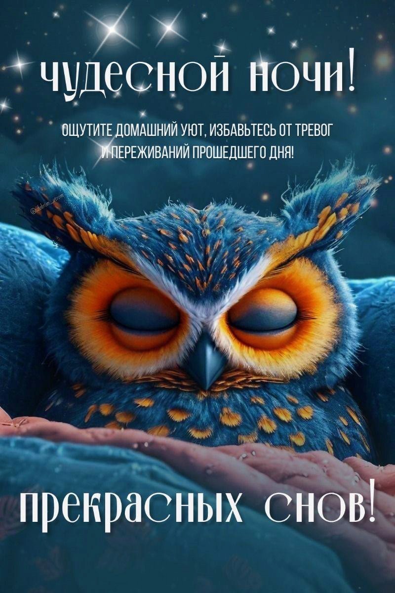 Красивая сова спит