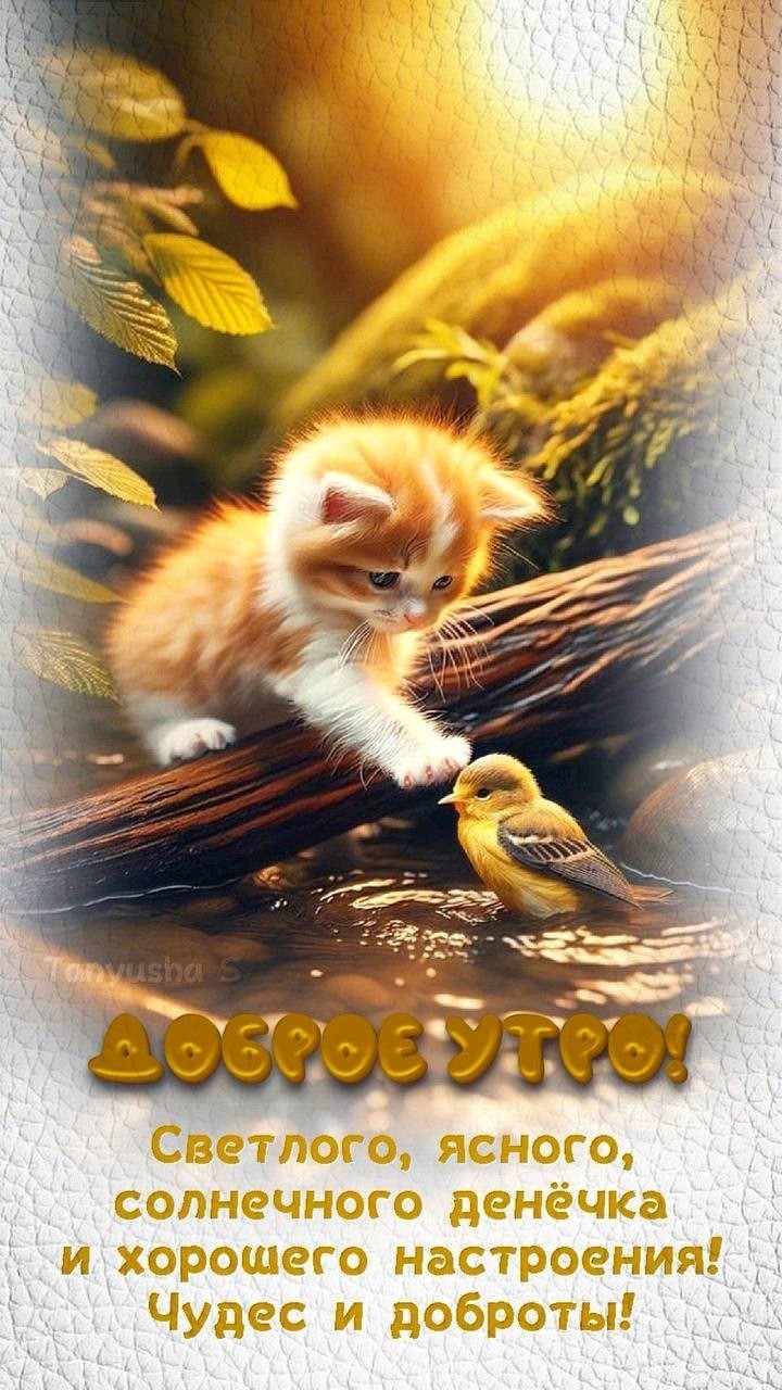 Котенок играет с птичкой