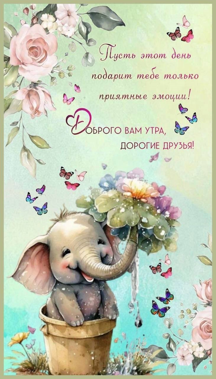 Милый слоненок с цветами и бабочками