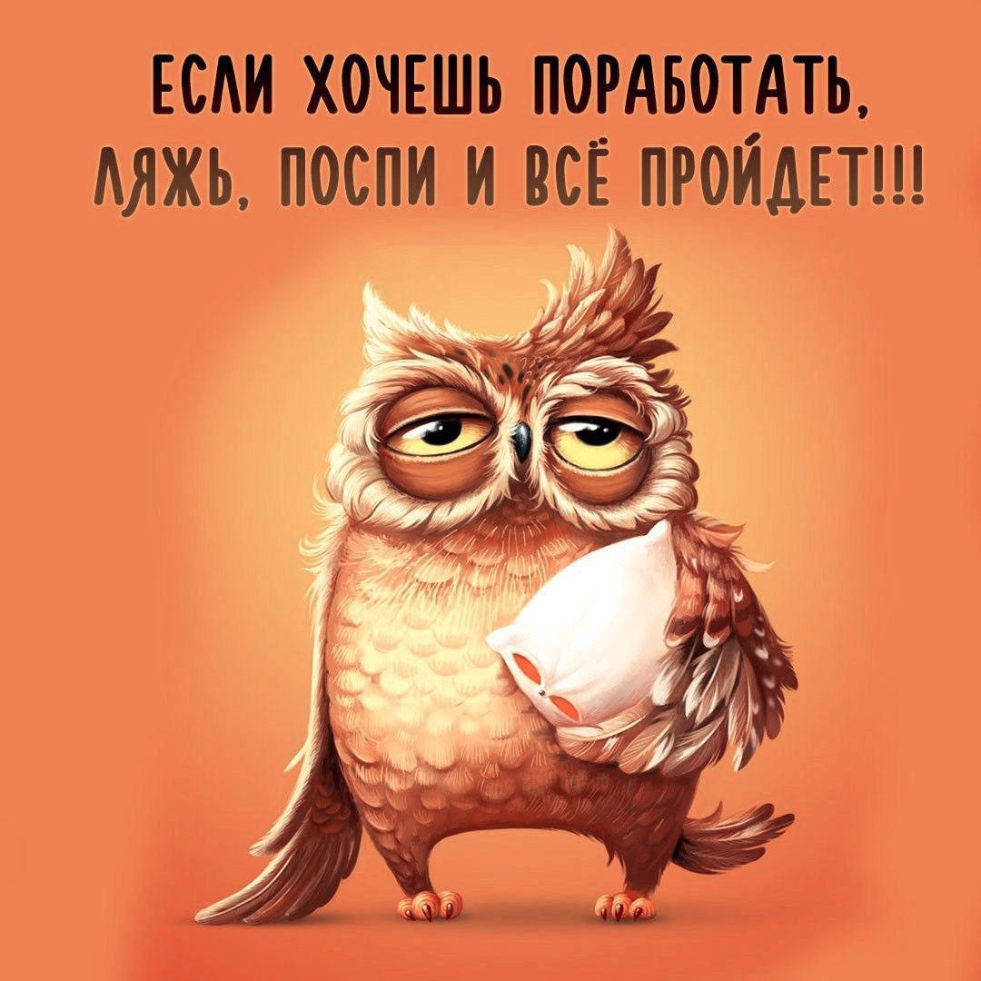 Картинка про работу с совой Сова с подушкой хочет спать