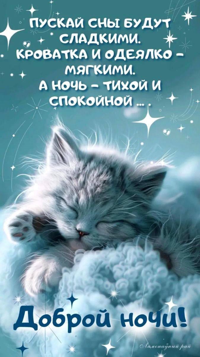Котенок мило спит