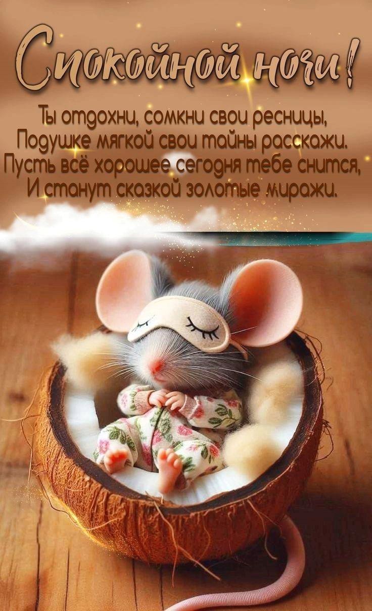 Мышка спит в корзинке