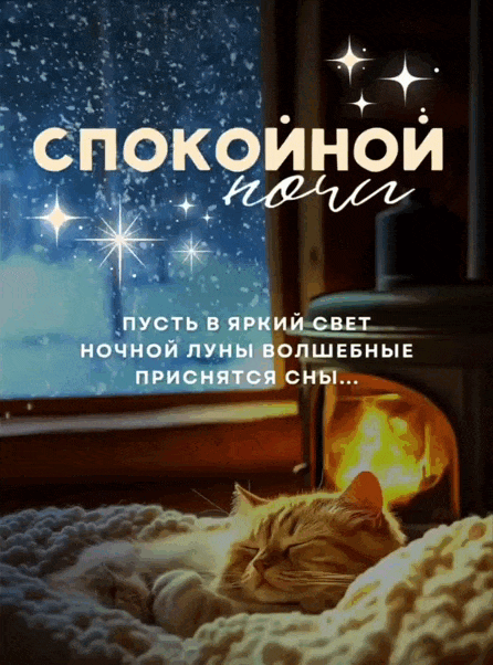 Кот спит у окна