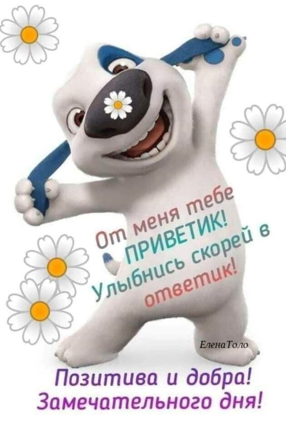 Милая собачка улыбается с приветом